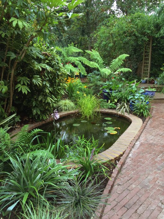 Garden pool and lush planting