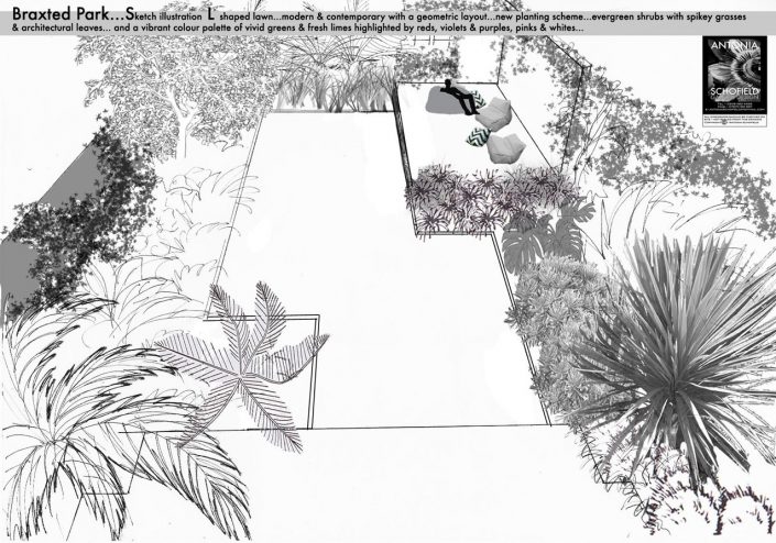 Geometric layout for tropical garden