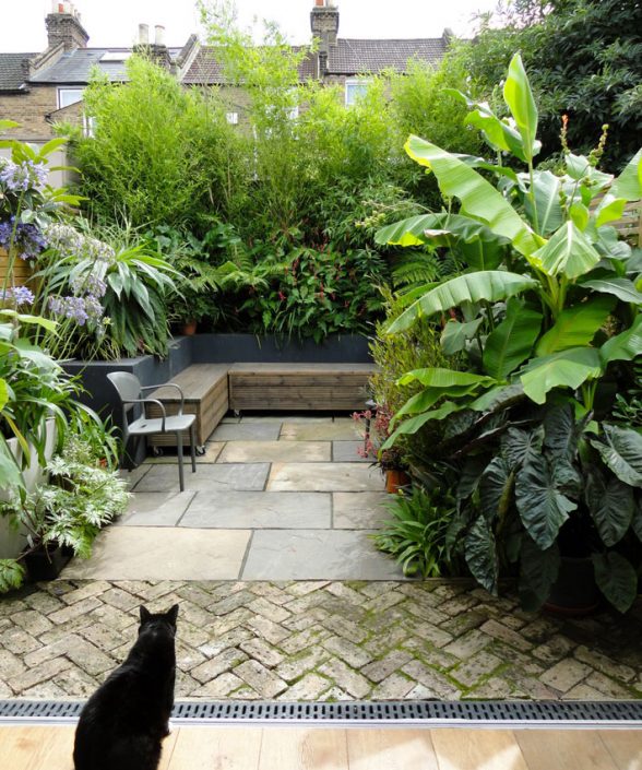 'Exotic' planting by Antonia Schofield, Garden designer