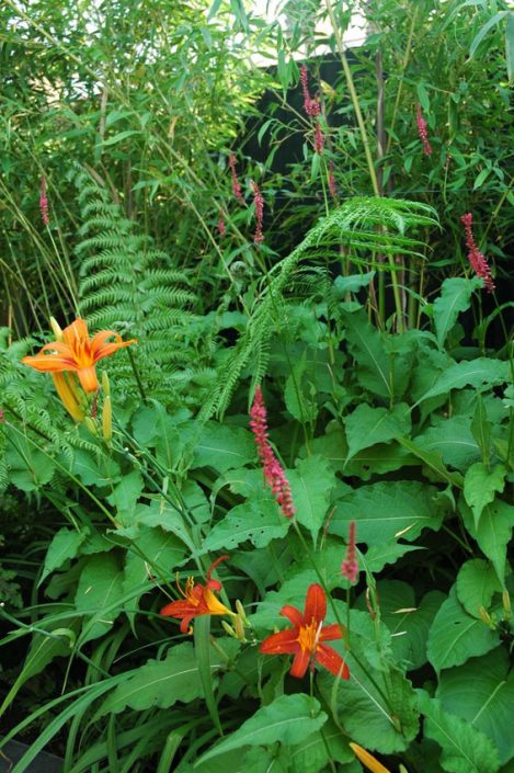 Lilies and ferns